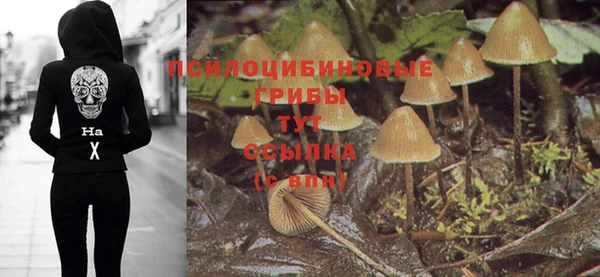 МДПВ Осташков