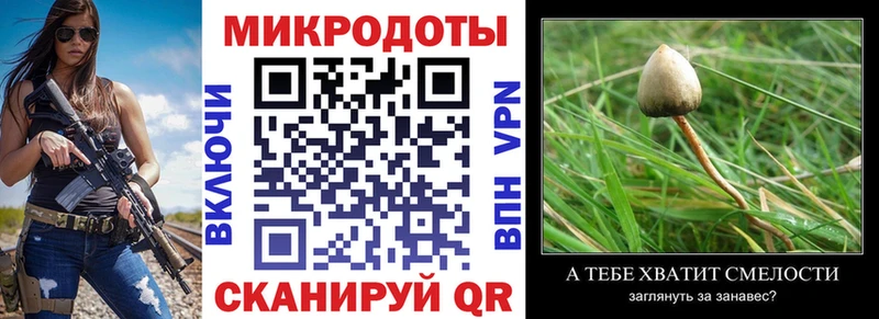 Галлюциногенные грибы прущие грибы  Шлиссельбург 